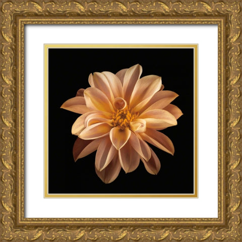 Four Keeps II Gold Ornate Wood Framed Art Print with Double Matting by Frank, Assaf