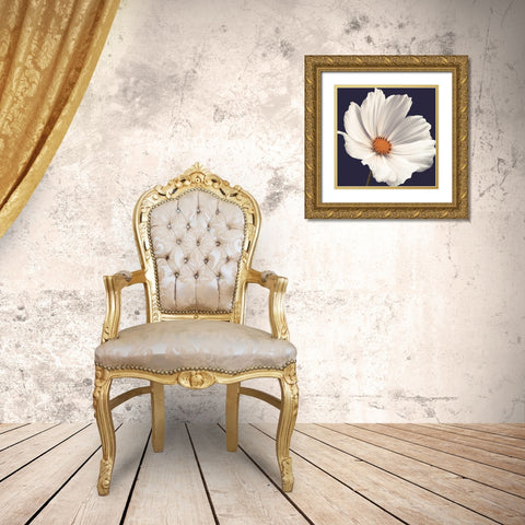 Cosmos I Gold Ornate Wood Framed Art Print with Double Matting by Frank, Assaf