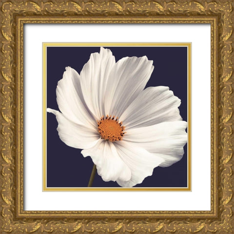 Cosmos I Gold Ornate Wood Framed Art Print with Double Matting by Frank, Assaf
