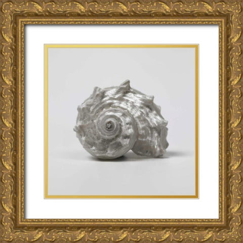Beachside Treasure III Gold Ornate Wood Framed Art Print with Double Matting by Frank, Assaf