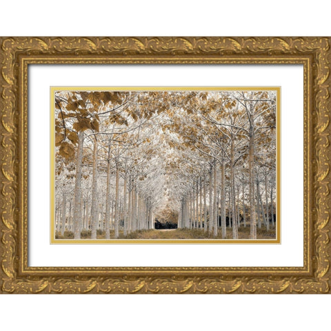 White Gold Gold Ornate Wood Framed Art Print with Double Matting by Frank, Assaf