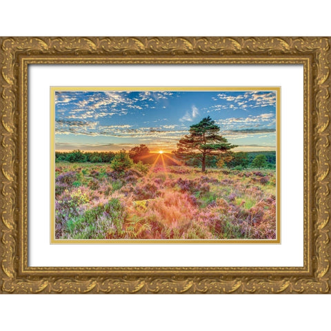 Heathland Sunset Gold Ornate Wood Framed Art Print with Double Matting by Frank, Assaf
