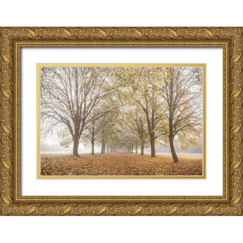 Autumns Peace Gold Ornate Wood Framed Art Print with Double Matting by Frank, Assaf
