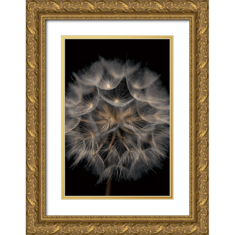 Fragile Beauty Gold Ornate Wood Framed Art Print with Double Matting by Frank, Assaf