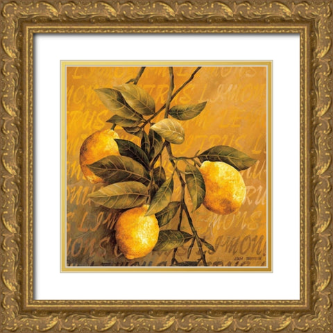 Lemon Branch Gold Ornate Wood Framed Art Print with Double Matting by Thompson, Linda
