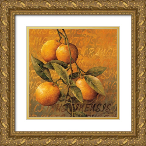 Orange Branch Gold Ornate Wood Framed Art Print with Double Matting by Thompson, Linda