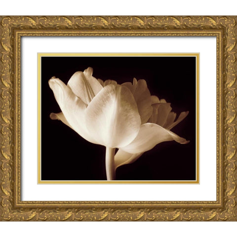 Champagne Tulip IV Gold Ornate Wood Framed Art Print with Double Matting by Britt, Charles