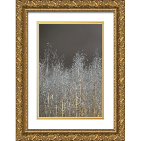 Silver Forest I Gold Ornate Wood Framed Art Print with Double Matting by Frank, Assaf