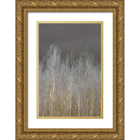 Silver Forest II Gold Ornate Wood Framed Art Print with Double Matting by Frank, Assaf