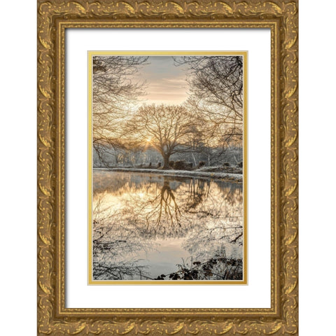 Frosty Morning II Gold Ornate Wood Framed Art Print with Double Matting by Frank, Assaf