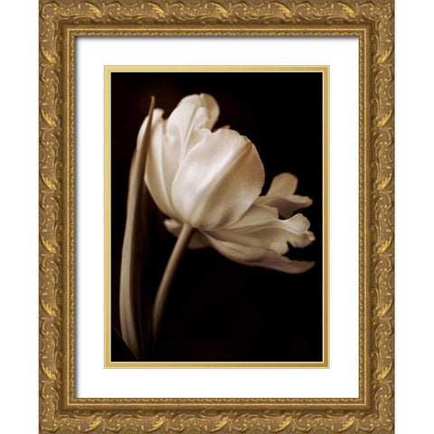 Champagne Tulip I Gold Ornate Wood Framed Art Print with Double Matting by Britt, Charles