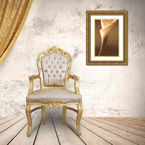 Enlightenment Gold Ornate Wood Framed Art Print with Double Matting by Ryan, Cinzia
