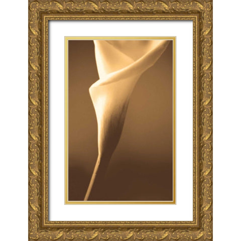 Enlightenment Gold Ornate Wood Framed Art Print with Double Matting by Ryan, Cinzia