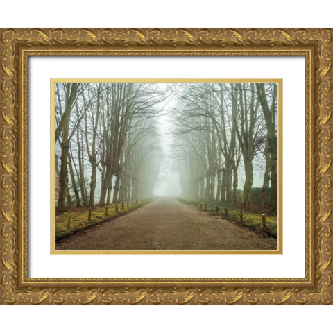 Dreamscape Wonder Gold Ornate Wood Framed Art Print with Double Matting by Frank, Assaf