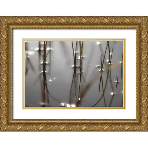 Still Waters Gold Ornate Wood Framed Art Print with Double Matting by Frank, Assaf