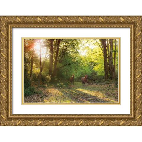 Good Morning Gold Ornate Wood Framed Art Print with Double Matting by Frank, Assaf