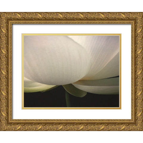Lotus Stem Gold Ornate Wood Framed Art Print with Double Matting by Christensen, Jim