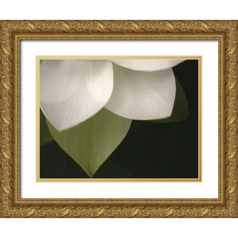 Lotus Closeup II Gold Ornate Wood Framed Art Print with Double Matting by Christensen, Jim