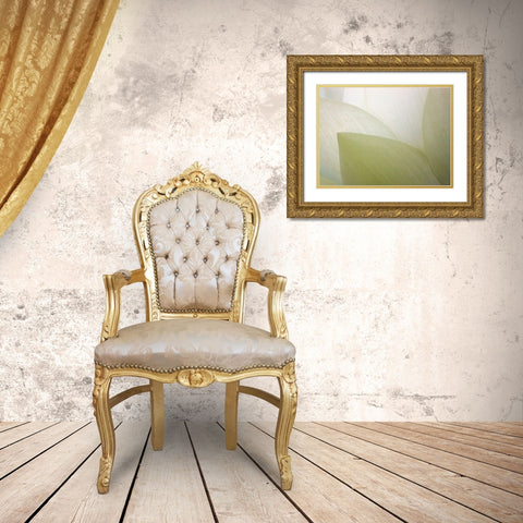 Lotus Curtain Gold Ornate Wood Framed Art Print with Double Matting by Christensen, Jim