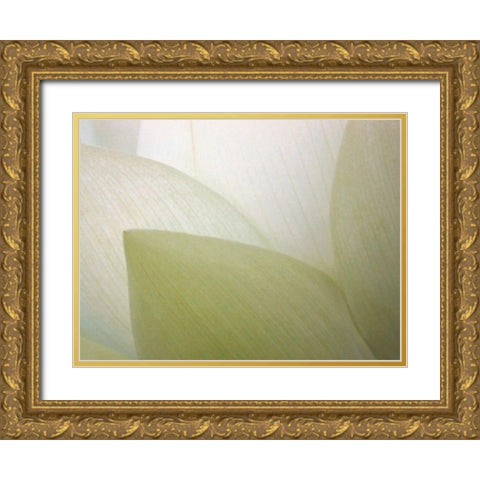 Lotus Curtain Gold Ornate Wood Framed Art Print with Double Matting by Christensen, Jim