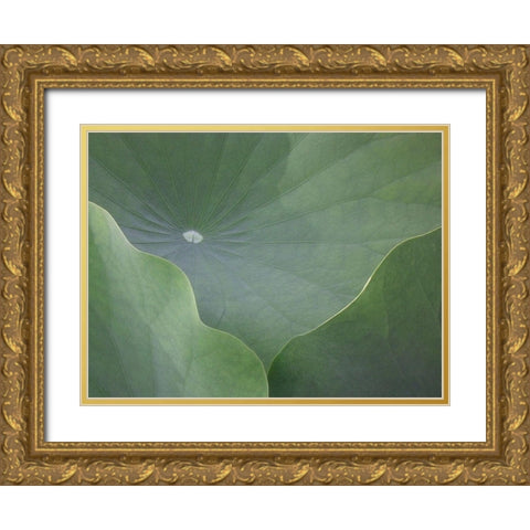 Lotus Leaves Gold Ornate Wood Framed Art Print with Double Matting by Christensen, Jim