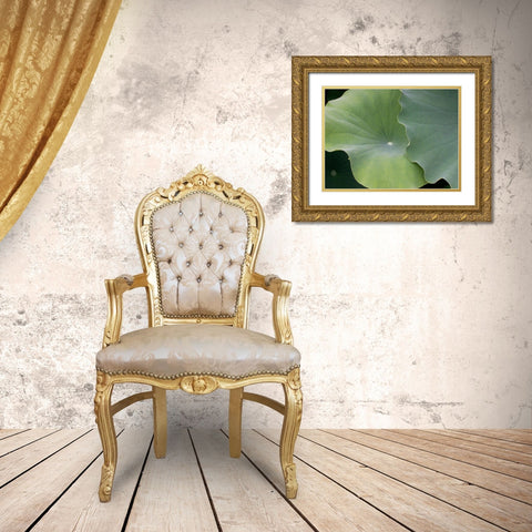 Lotus III Gold Ornate Wood Framed Art Print with Double Matting by Christensen, Jim