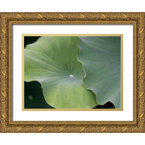 Lotus III Gold Ornate Wood Framed Art Print with Double Matting by Christensen, Jim