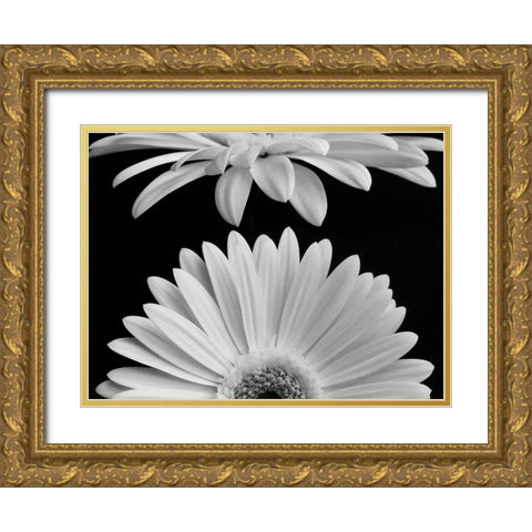 Daisies Gold Ornate Wood Framed Art Print with Double Matting by Christensen, Jim