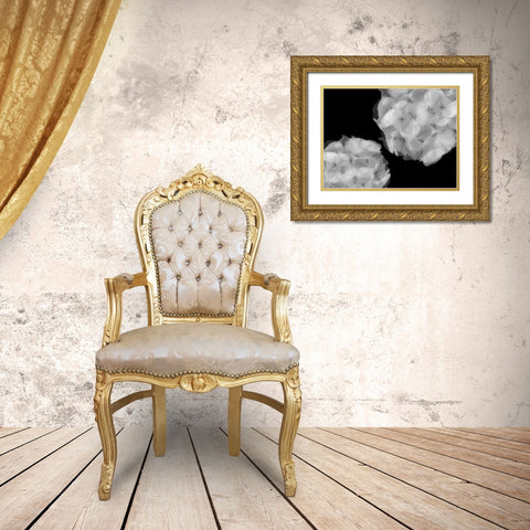 Hydrangea Gold Ornate Wood Framed Art Print with Double Matting by Christensen, Jim