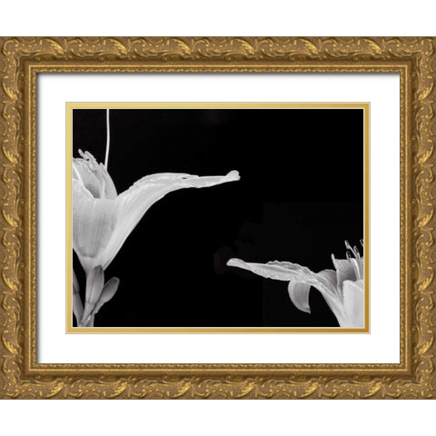 Lilies II Gold Ornate Wood Framed Art Print with Double Matting by Christensen, Jim