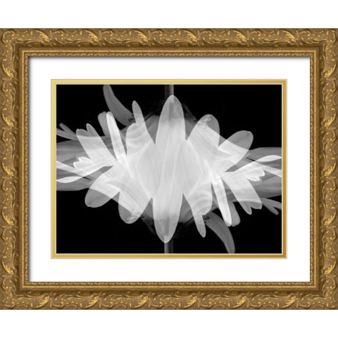 Superimposition Gold Ornate Wood Framed Art Print with Double Matting by Christensen, Jim