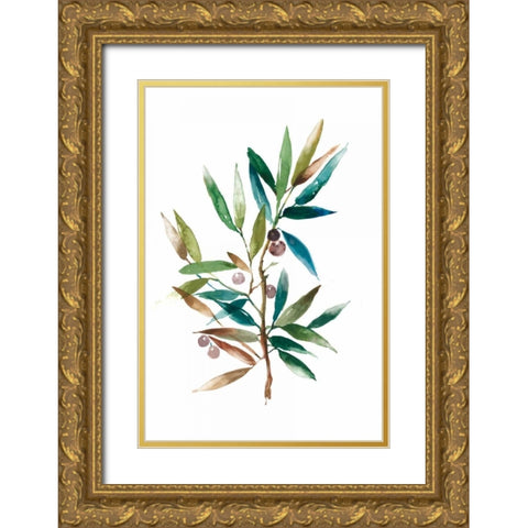 Olive Branch II Gold Ornate Wood Framed Art Print with Double Matting by Jensen, Asia