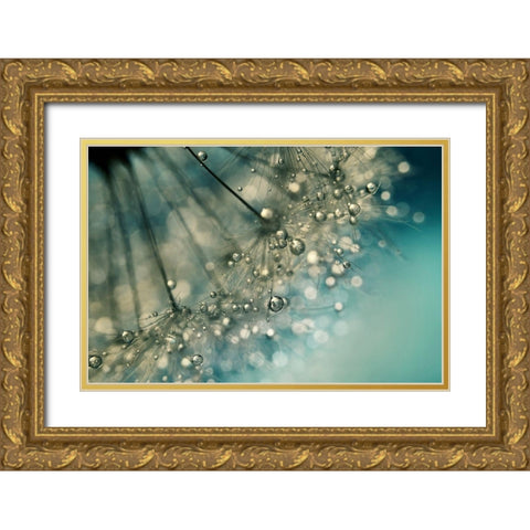 Indigo Sparkles Gold Ornate Wood Framed Art Print with Double Matting by Johnstone, Sharon