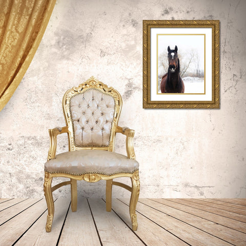 Stable Brown Horse  Gold Ornate Wood Framed Art Print with Double Matting by Kedron, Chelsea