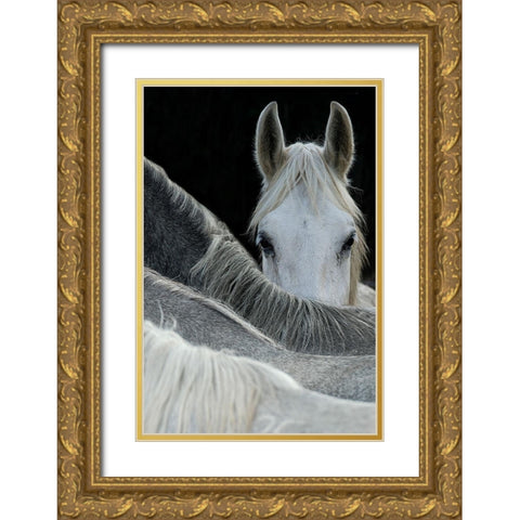Malovrh - Look Gold Ornate Wood Framed Art Print with Double Matting by 1x