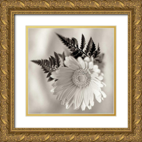 Florison - 60 Gold Ornate Wood Framed Art Print with Double Matting by Blaustein, Alan