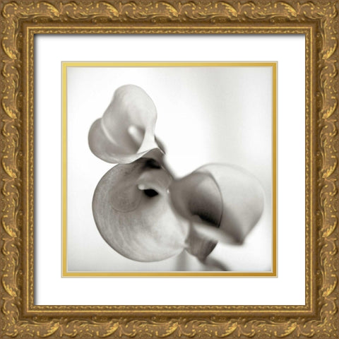 Florison - 59 Gold Ornate Wood Framed Art Print with Double Matting by Blaustein, Alan