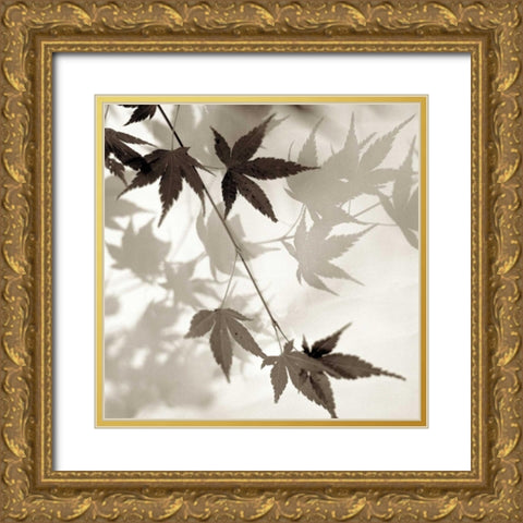 Florison - 63 Gold Ornate Wood Framed Art Print with Double Matting by Blaustein, Alan