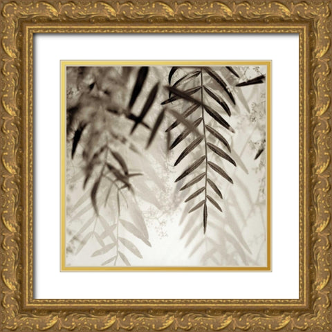 Florison - 56 Gold Ornate Wood Framed Art Print with Double Matting by Blaustein, Alan