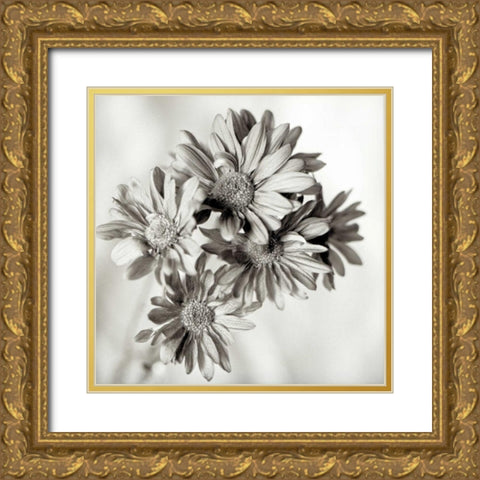Florison - 40 Gold Ornate Wood Framed Art Print with Double Matting by Blaustein, Alan