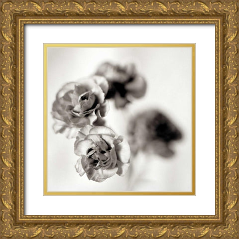 Florison - 39 Gold Ornate Wood Framed Art Print with Double Matting by Blaustein, Alan