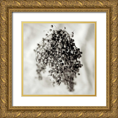 Florison - 38 Gold Ornate Wood Framed Art Print with Double Matting by Blaustein, Alan