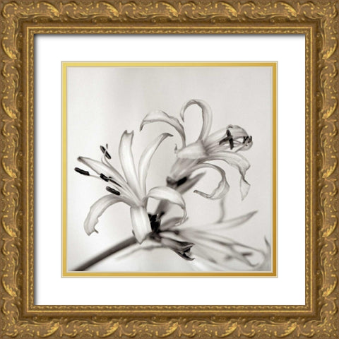 Florison - 34 Gold Ornate Wood Framed Art Print with Double Matting by Blaustein, Alan