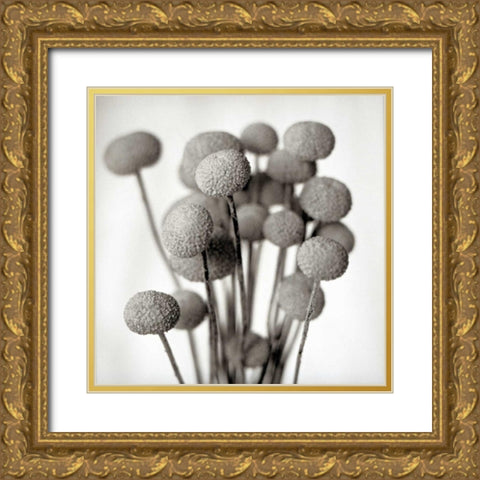 Florison - 33 Gold Ornate Wood Framed Art Print with Double Matting by Blaustein, Alan