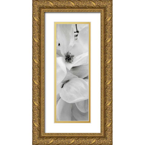 Magnolia - 1 Gold Ornate Wood Framed Art Print with Double Matting by Blaustein, Alan