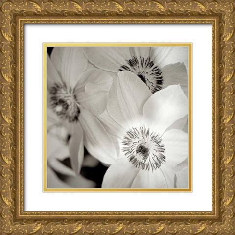 Florison - 31 Gold Ornate Wood Framed Art Print with Double Matting by Blaustein, Alan