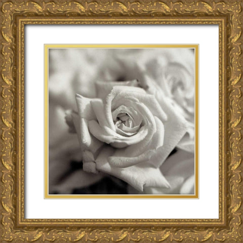 Florison - 30 Gold Ornate Wood Framed Art Print with Double Matting by Blaustein, Alan