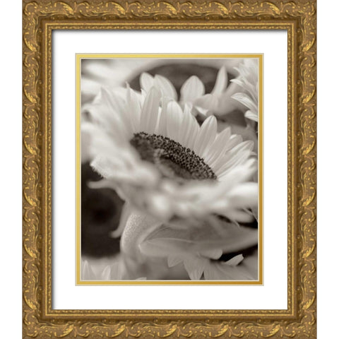 Florison - 3 Gold Ornate Wood Framed Art Print with Double Matting by Blaustein, Alan