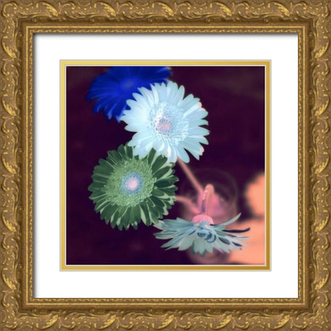 Floral Color - 5 Gold Ornate Wood Framed Art Print with Double Matting by Blaustein, Alan