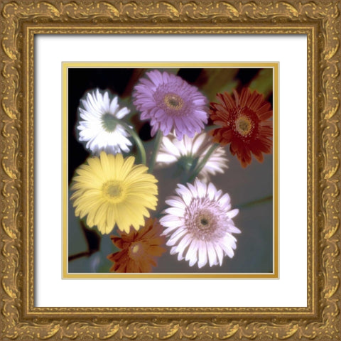 Floral Color - 6 Gold Ornate Wood Framed Art Print with Double Matting by Blaustein, Alan